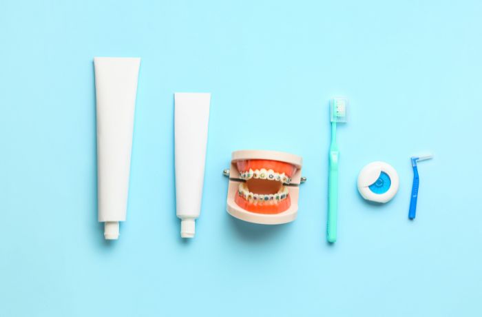 歯の模型と歯ブラシ