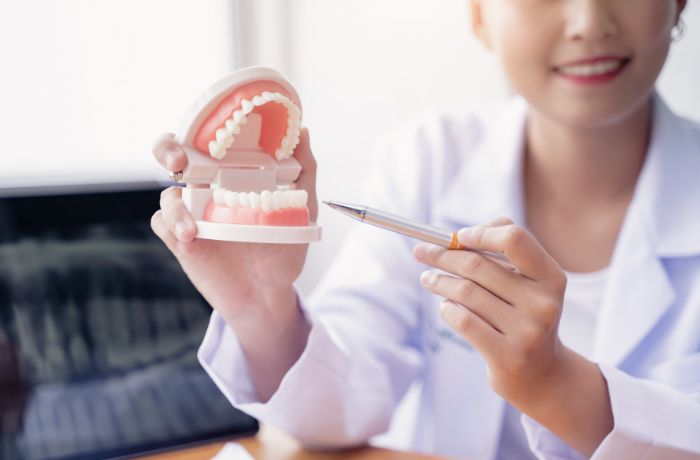 歯のモデル診断を行う歯医者